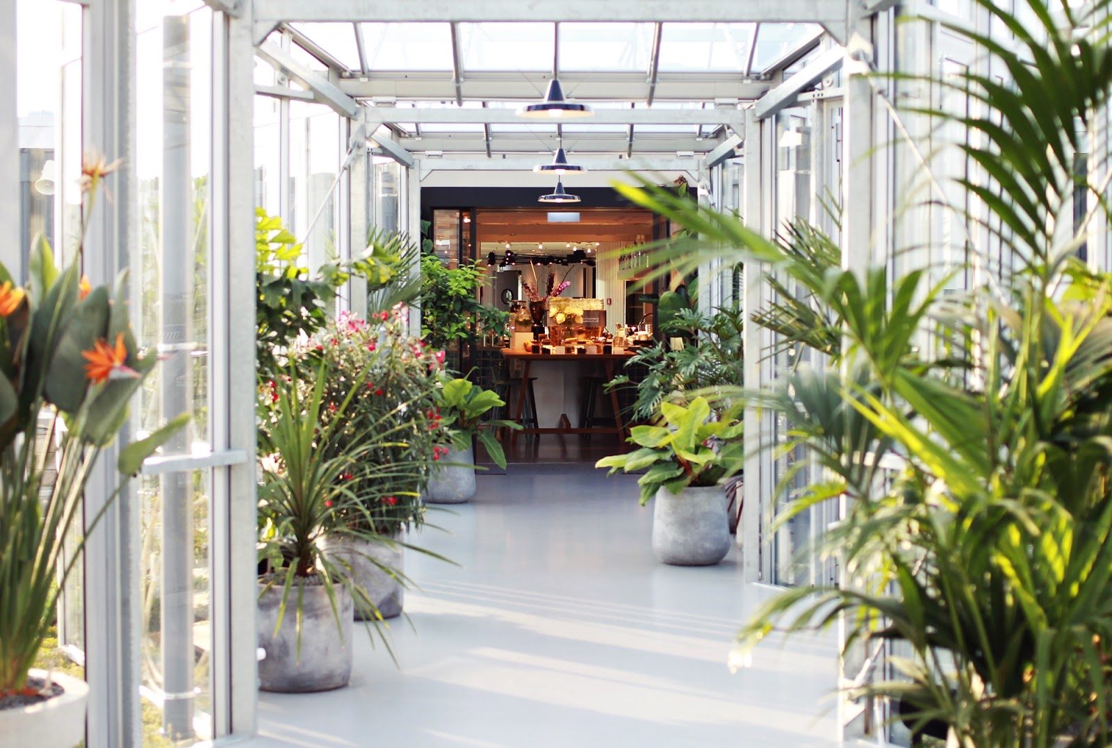 ZOKU HOTEL: One of the best bars in Amsterdam - Thomas Henry